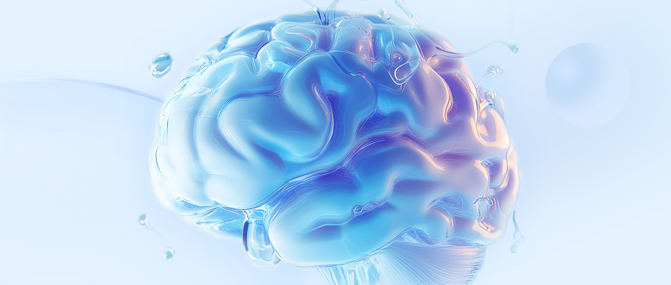 一張膜里有什么？